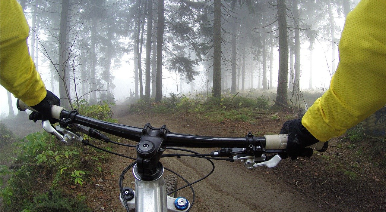 Mountainbike Trail im Wald